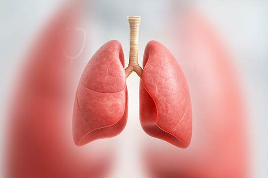 Cardiology Department