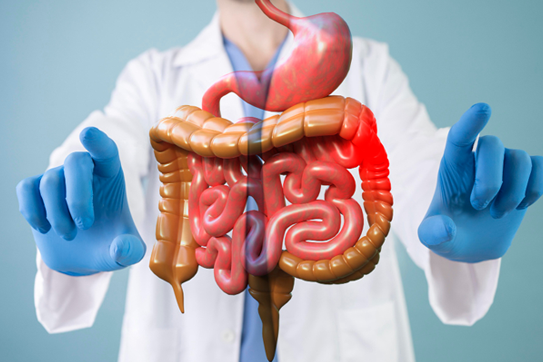 Cardiology Department